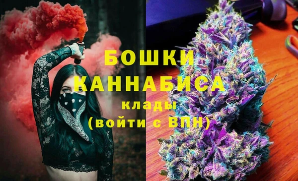 дживик Богородск