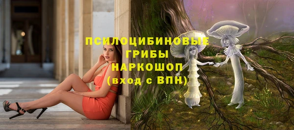 дживик Богородск