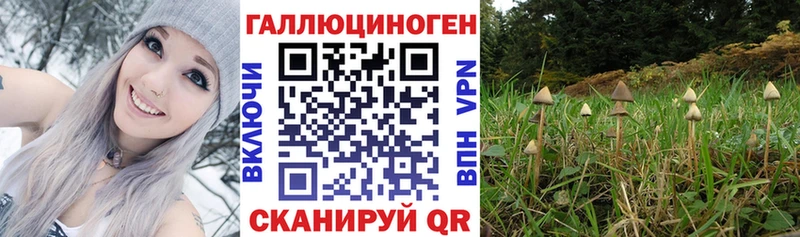 hydra ссылки  Свирск  Псилоцибиновые грибы Cubensis 